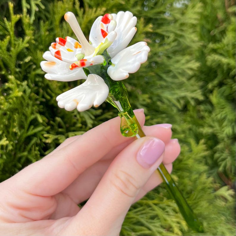 K&ouml;nnte beinhalten: Eine wei&szlig;e Glasblume mit roten und orangefarbenen Akzenten auf den Bl&uuml;tenbl&auml;ttern. Die Blume sitzt auf einem gr&uuml;nen Glasstiel.