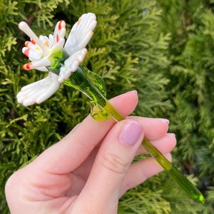 K&ouml;nnte beinhalten: Eine wei&szlig;e Glasblume mit roten und gelben Akzenten auf einem gr&uuml;nen Stiel. Die Blume ist aus Glas und hat einen zarten, verspielten Look.