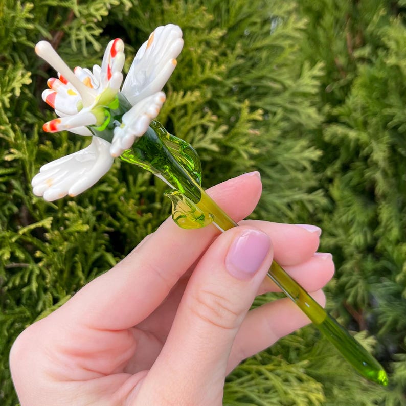K&ouml;nnte beinhalten: Eine wei&szlig;e Glasblume mit roten und gelben Akzenten auf einem gr&uuml;nen Stiel. Die Blume ist aus Glas und hat einen zarten, verspielten Look.
