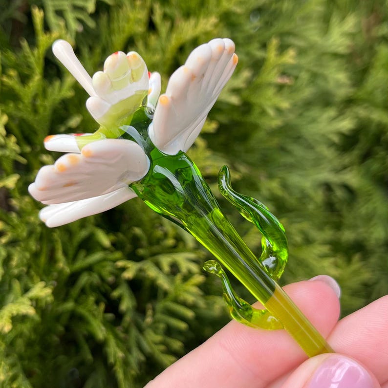 K&ouml;nnte beinhalten: Eine Glasblume mit wei&szlig;en Bl&uuml;tenbl&auml;ttern und einem gr&uuml;nen Stiel. Die Blume hat ein zartes, verspieltes Design.