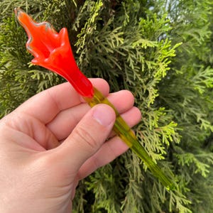 Red Glass Calla Flower Figurine – Blown Glass Flower Sculpture – Murano Style Miniature – Garden Floral Decor – Gift for Mom or Collector