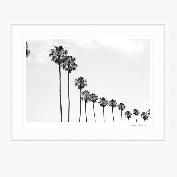 ART PRINT | 'La Jolla Palms' by Laura Wells - digital file download