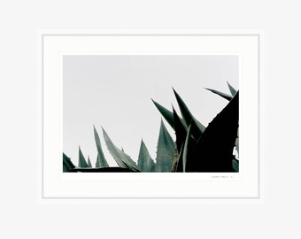 ART PRINT | &#39;La Jolla I&#39; - digital file download