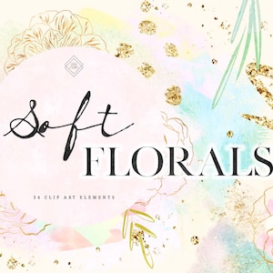 Watercolor Flower Clipart - Floral Flowers Clip Art - Pastel Gold Spring Rose Graphics - Watercolour Brush Stroke Pink Blue Abstract PNG