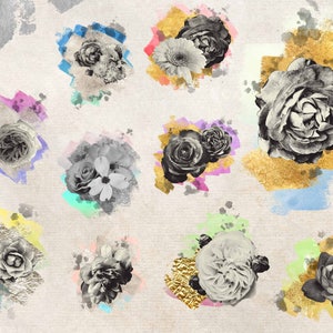 May include: A digital collage of black and white floral images with watercolor accents in various colors, including pink, blue, green, and gold.