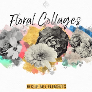 May include: A digital collage of 10 floral clip art elements. The flowers are in black and white and are arranged on a background of watercolor washes in shades of pink, blue, and gold.