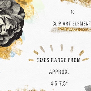 May include: A set of 10 clip art elements featuring a black and white rose with gold and blue watercolor accents. The text "Sizes range from approx. 4.5-7.5" is included in the image.