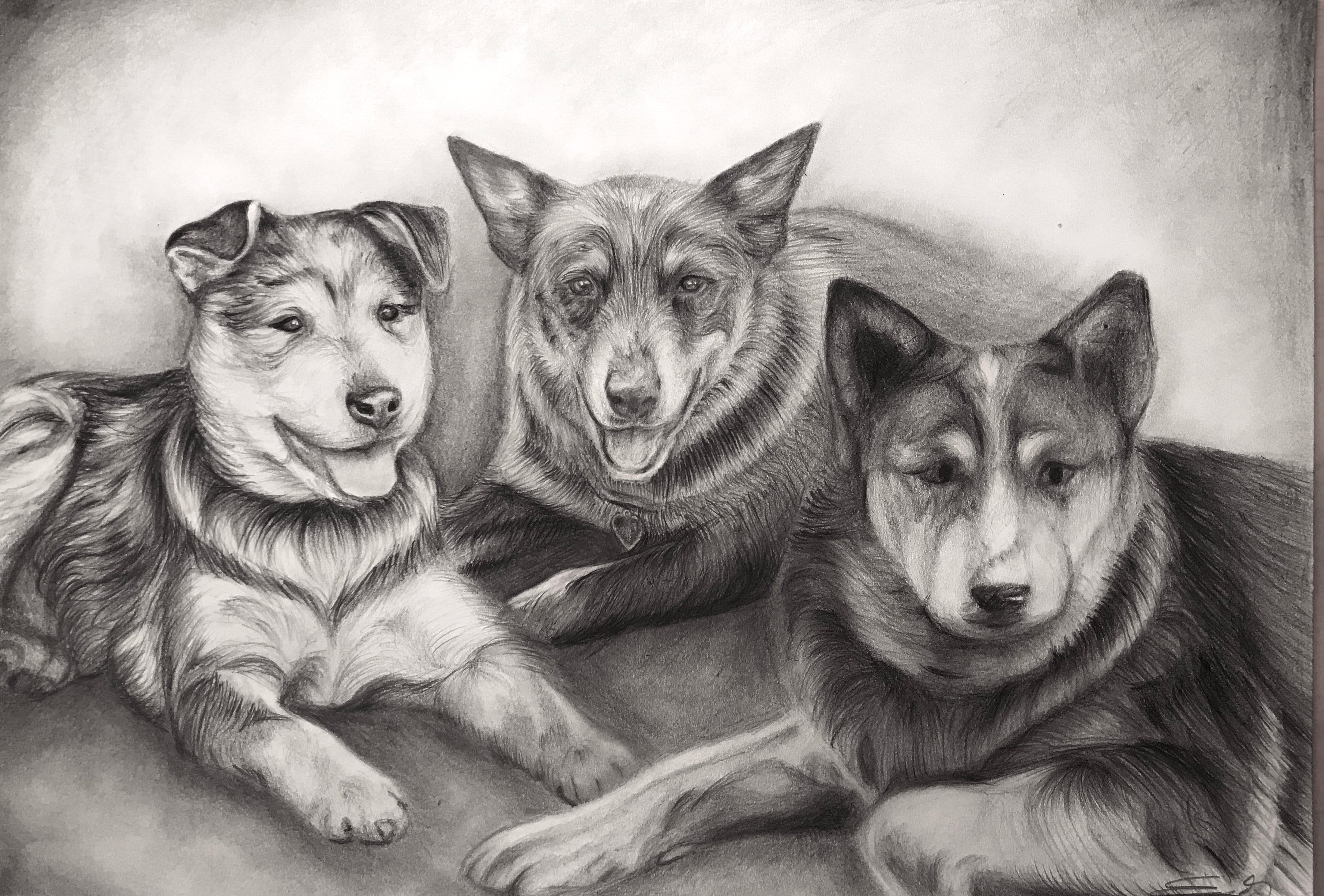 Custom Realistic Pet Portrait Drawing, Dog Lovers Present, Pet Memorial, Dog  Owners Gift, Puppies Drawing, Coloured Pencil Sketch - Etsy Canada