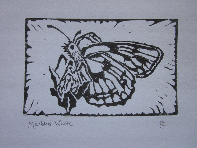 Marbled White butterfly linocut print, insect art, handmade, nature image 1