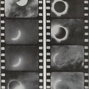 Lunar Cycle Forecast Tarot & Astrology Reading