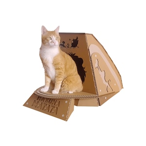Lion King Carton Cat House