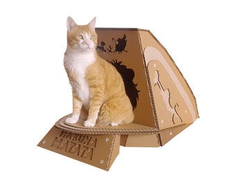 Lion King Cardboard Cat House