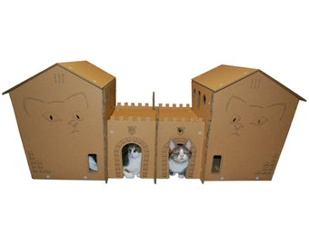 Maison de chat en carton de châteaux jumeaux