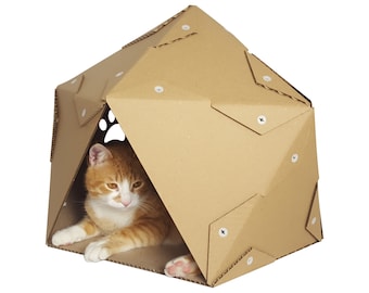 Maison de chat en carton du Pentagone