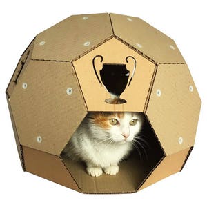 Maison de chat en carton de football