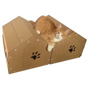 A casinha de papelão para gatos dos gêmeos