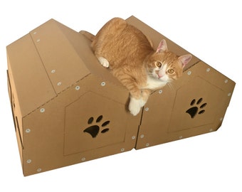 The Twins Cardboard Cat House