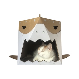 Casa para gatos de cartón tiburón