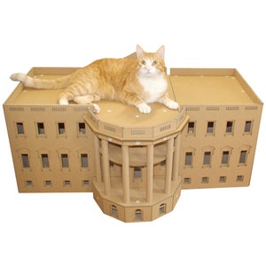 The White House Cardboard Cat House