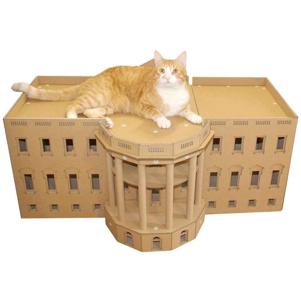 White house cheap cat