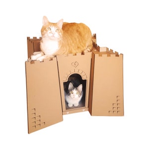 Casa de gato de papelão do Forte de Santo Agostinho