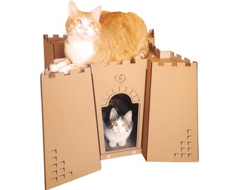 St Augustine Fort Cardboard Cat House