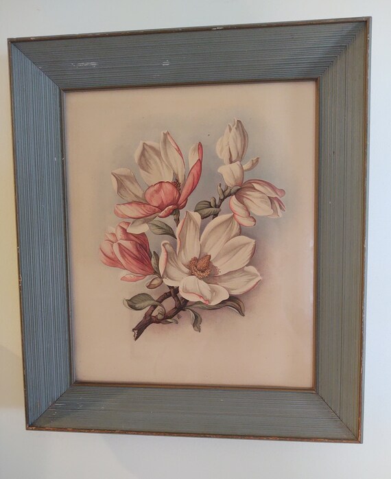 Franklin Picture Company Framed Magnolia Print 1940's Etsy