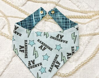 Handsome Dog Bandana, Boy Reversible Curved Neck Snap On, Summer Pet Collar, Animal Scarf, Dog Mom Gift, Matching, Puppy, Cat handkerchief