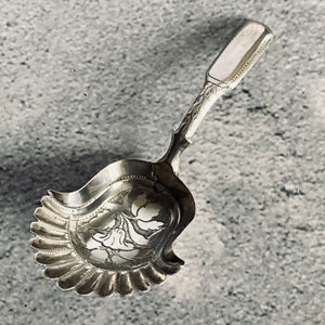 Georgian Silver Caddy Spoon