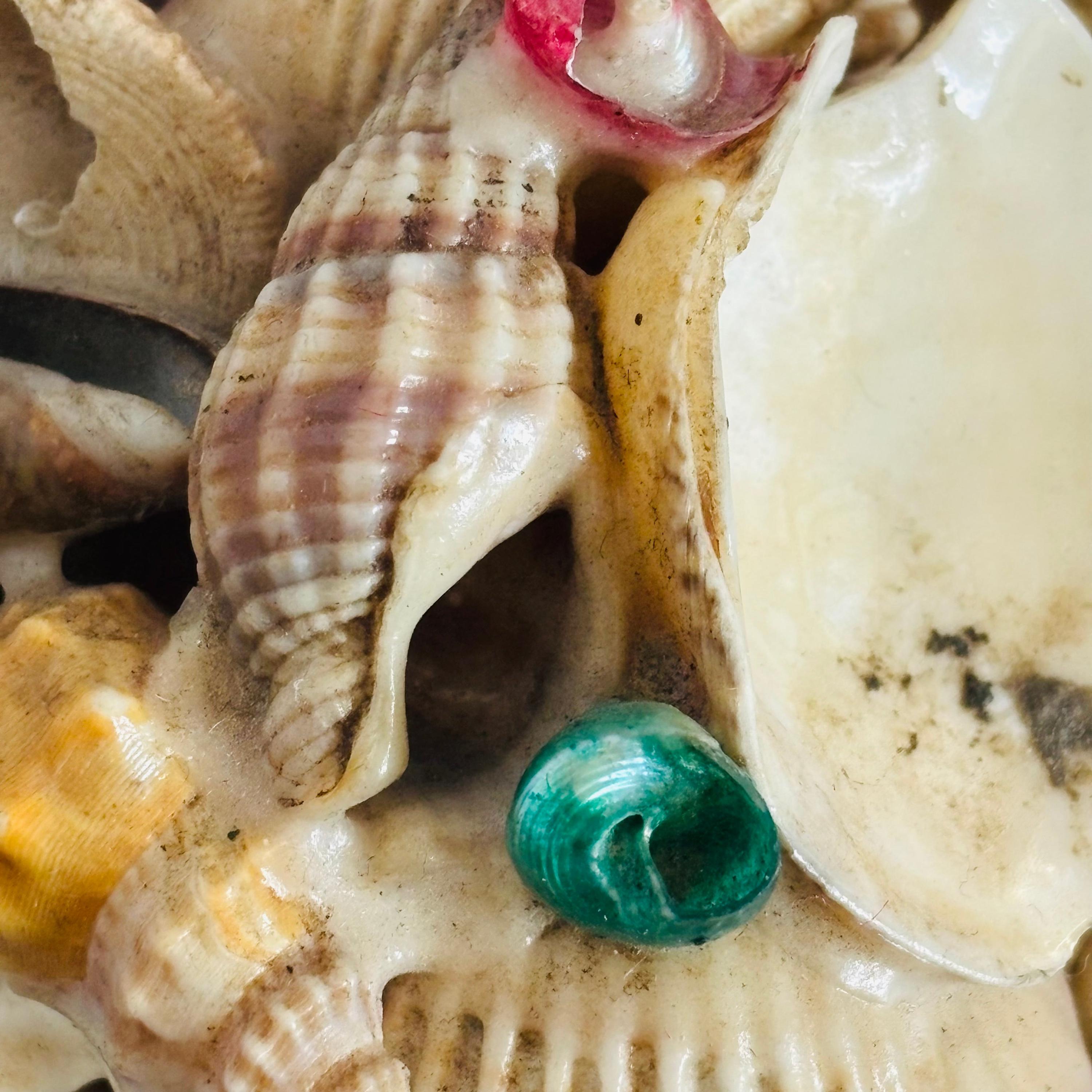 Shell Lids Victorian Shell Decorative Lid - Etsy