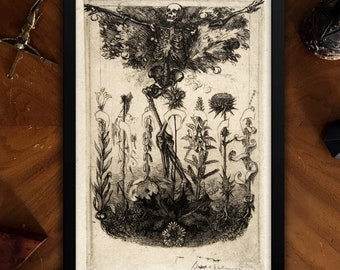 Les Fleurs du Mal Framed Dark Art Poster