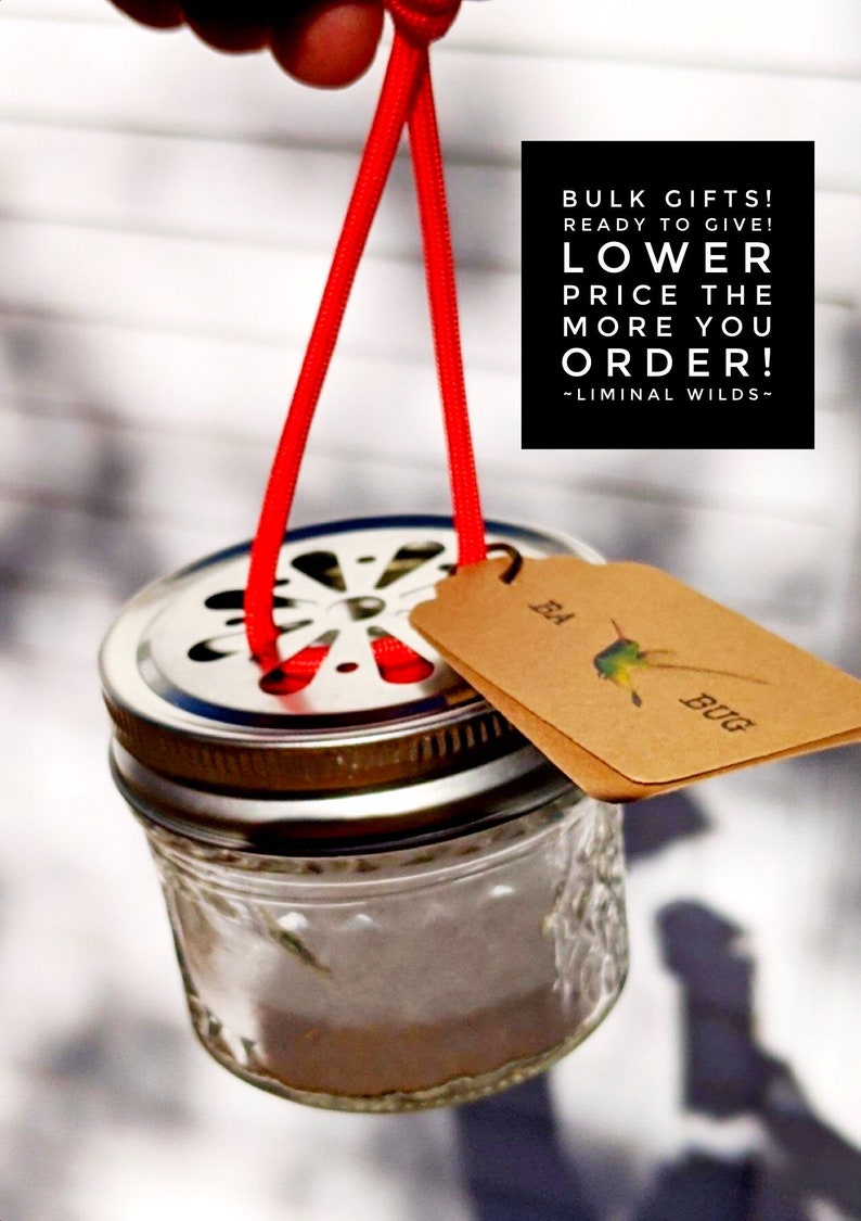 Bulk holiday gifts set of 20 Bulk gifts for coworkers / bulk Etsy