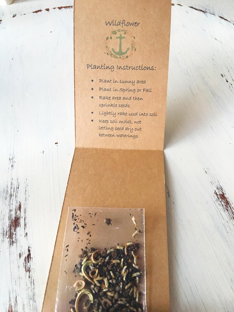 25 Flower Seed Favors Baby shower Favor nautical baby Etsy