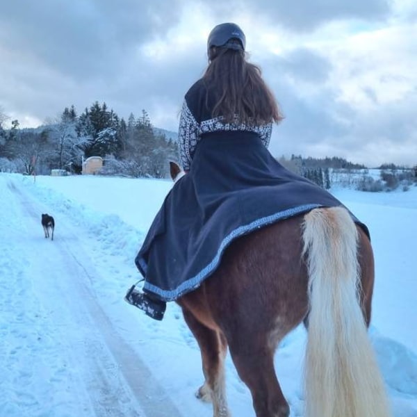 Jupe d'équitation laine grise avec bordure, jupe portefeuille XS-XXL, jupe longue pour séance photo, cheval et cavalier, Toraxacum