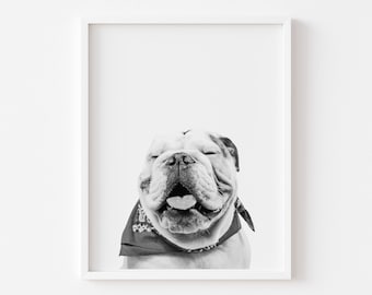 English Bulldog Art Print: Funny Dog Decor, Minimalist Poster