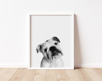 Dog Portrait, English Bulldog Print, Animal Photography, Funny Dog Portrait Printable Download, Minimalist Photography, Trendy Wall Art