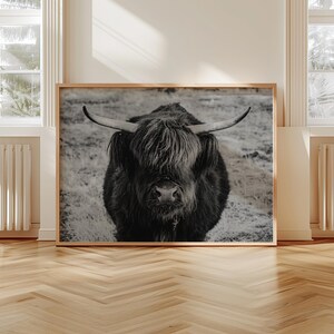 May include: Black and white framed print of a Highland cow. The cow has long, shaggy fur and large horns. The print is displayed in a room with hardwood floors and windows.