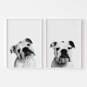 Dog Print, Set of 2, English Bulldog, Dog Poster, Puppy Print, Kids Room Decor, Nursery Prints, Cute Puppy Print, Veterinarian gift