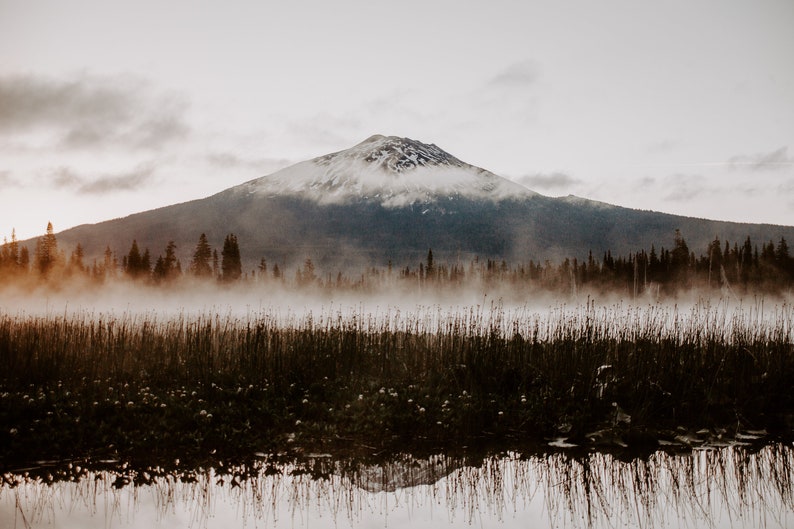 A photograph of Mt. Bachelor at sunrise with trees and fog in the foreground