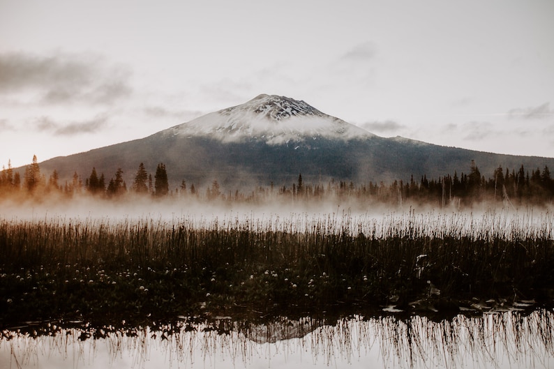 A photograph of Mt. Bachelor at sunrise with trees and fog in the foreground
