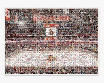 Ottawa Senators Mosaic Wall Art Print of Canadian Tire Centre from 220+ Player Card Images! Great Christmas Gift and Mancave/Office Decor!