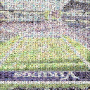 Impression d'art mural en mosaïque des Vikings du Minnesota du stade de la Banque américaine à partir de plus de 200 images de cartes de joueur viking ! Un super cadeau pour la fête des pères !