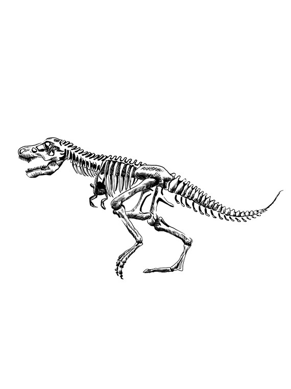 Printable Digitally Illustrated T. Rex | Etsy