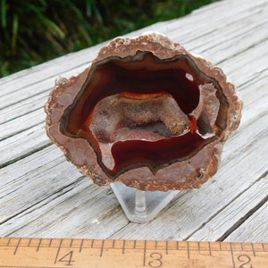 ThunderEgg Agate Geode with Drusy Interior and Polished Face,  Unusual Specimen