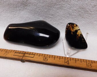 Indonesian Black Amber Awesome Polished Free Forms