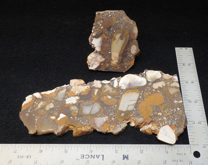 Tennessee Primo Pudding Stone Rough Slabs for Cabochon or Specimen Material Etsy