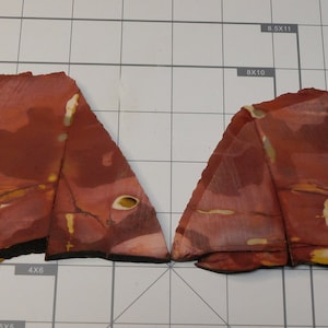 May include: Two pieces of red, yellow, and white patterned stone. The stone has a rough, natural texture.