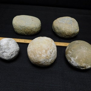 Authentic Ancient Hammerstone Artifacts and One Modern, Collection Selection