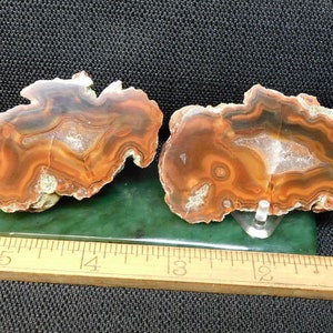 Condor Agate, Polished End Piece Specimen and Slab, Mendoza County, Argentina