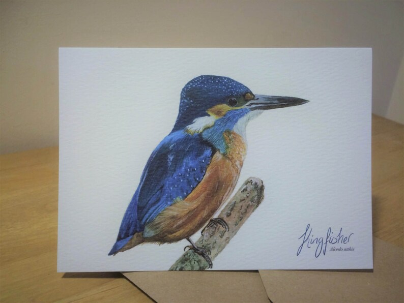 Kingfisher greetings cards